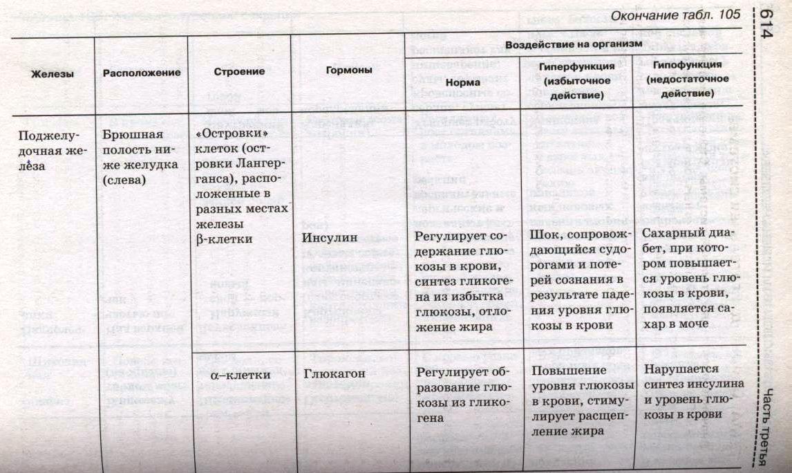 Презентация по биологии 8 класс железы внутренней секреции