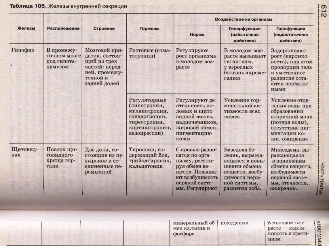 Типы желез таблица по биологии